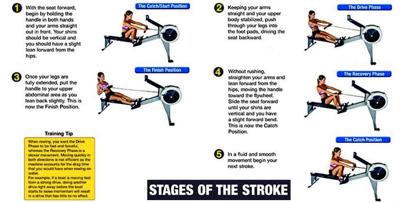 Stages of rowing machine stroke diagram - blog