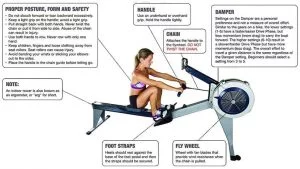 Read more about the article Rowing Machine Info Bitz